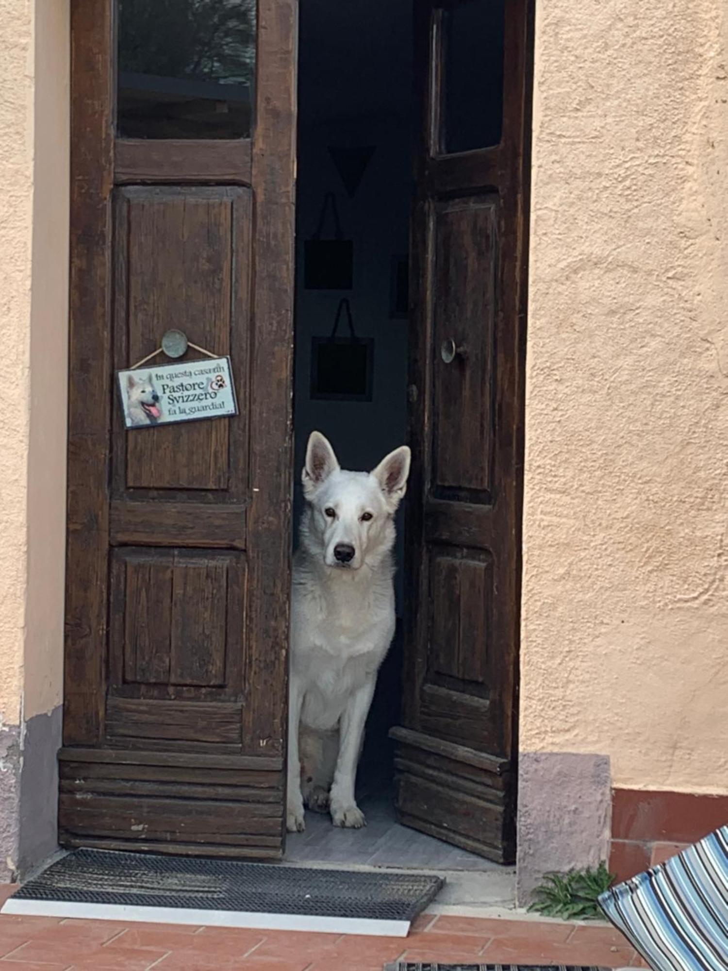 Bed and breakfast Boutique Dolce Far Niente